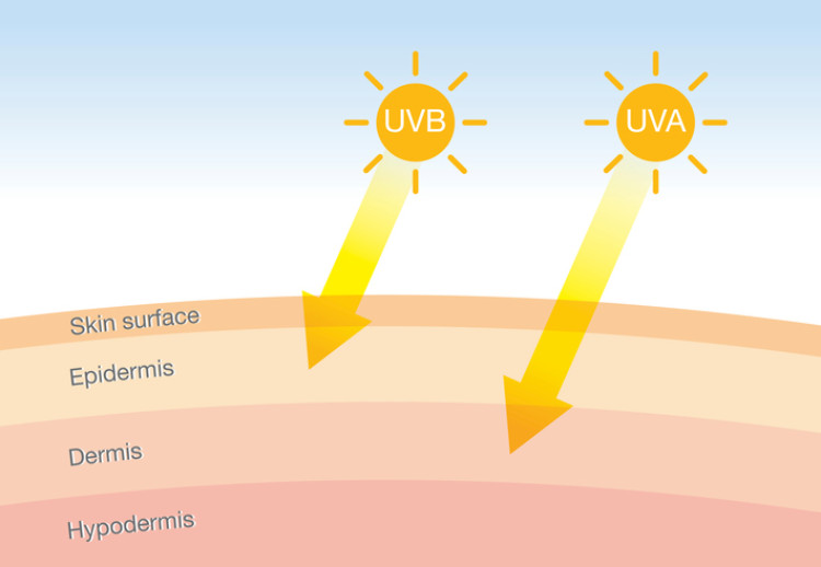 ultravioletinė spinduliuotė, prasiskverbianti pro odą, schematinis vaizdas