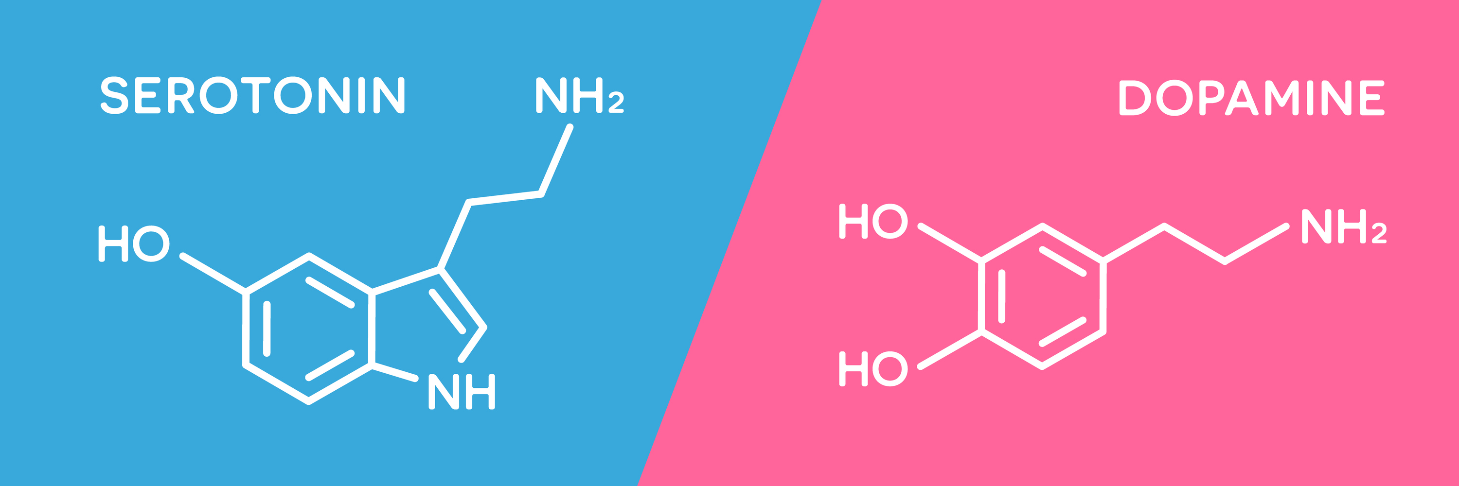 Serotonino ar dopamino kiekio sutrikimas gali sukelti nerimo sutrikimus. 