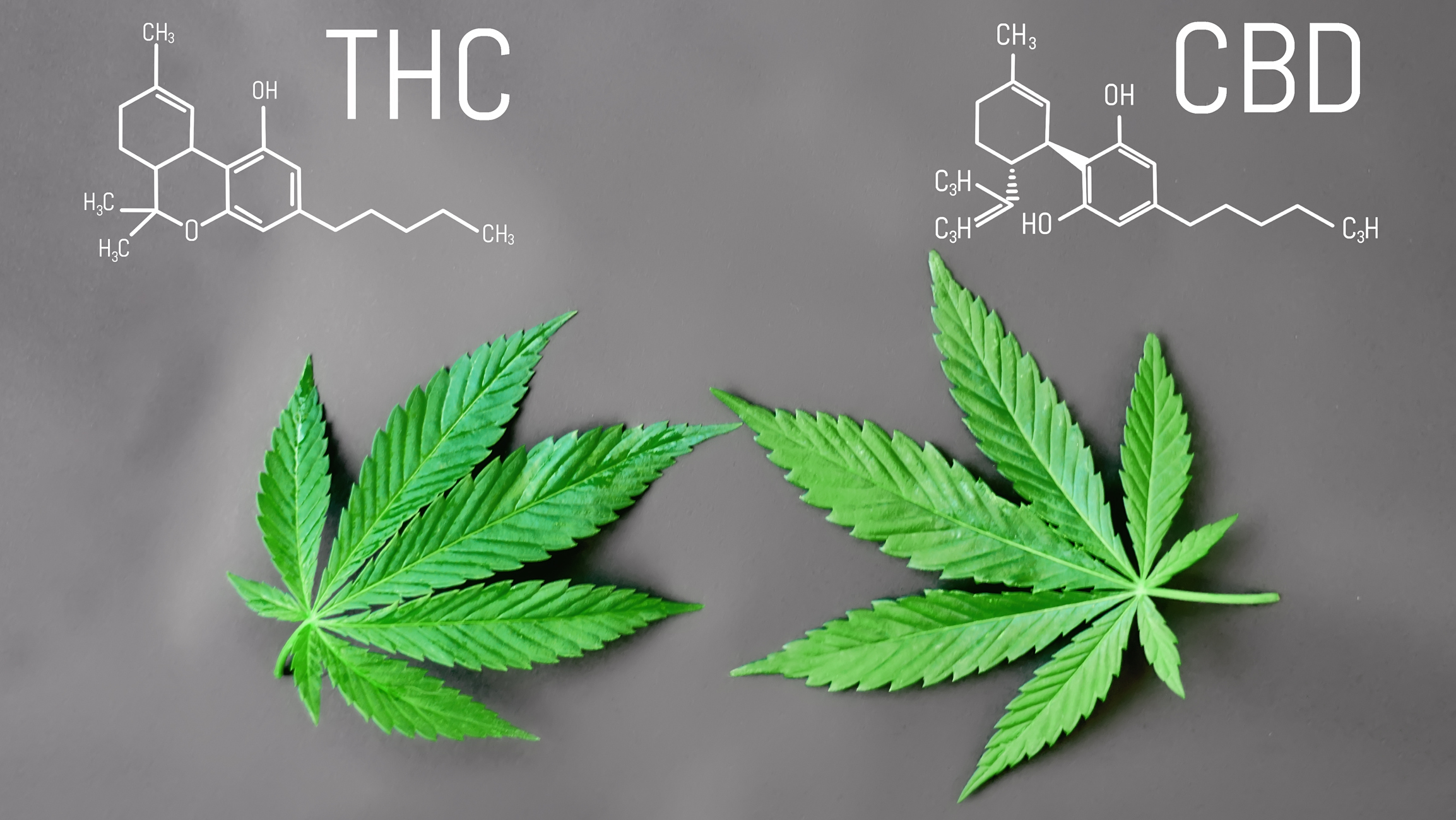 THC ir CBD molekulė