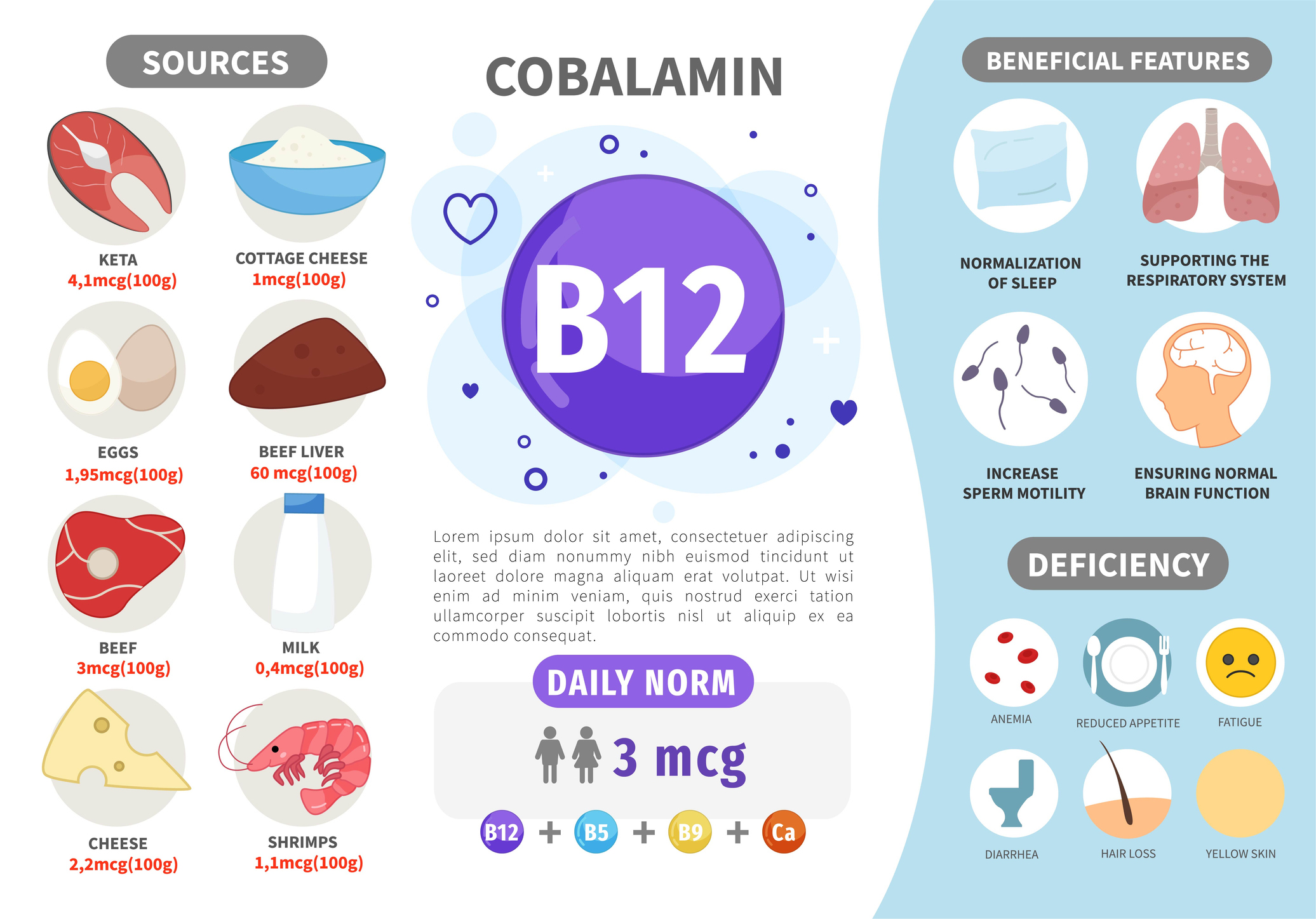 Vitamino B12 šaltiniai